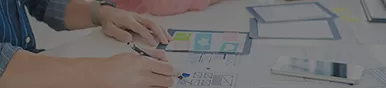 Software Development