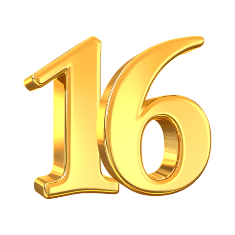 16+ Years In Business